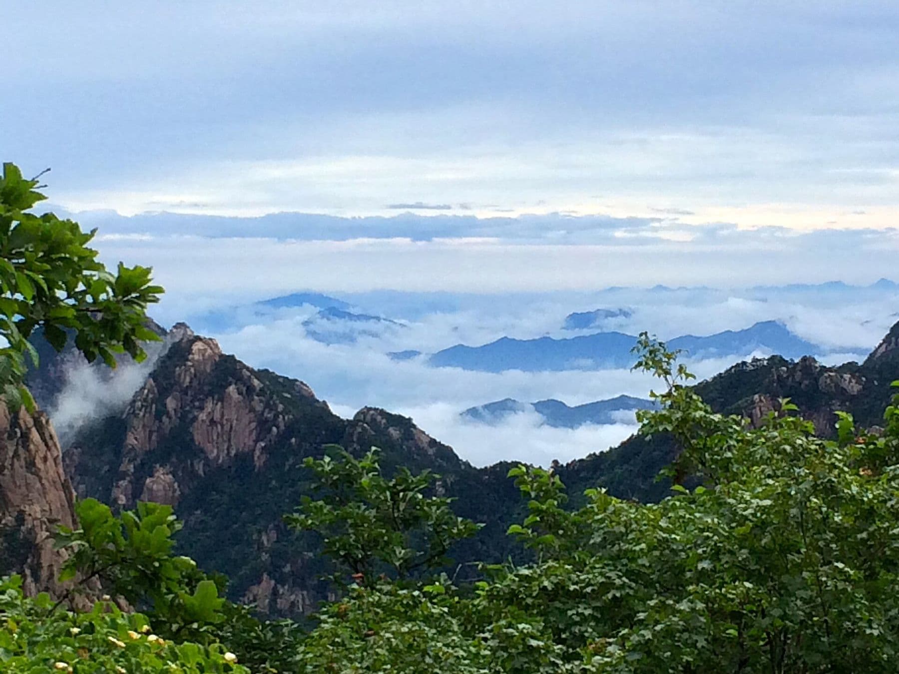 A sea of clouds below the granite peaks of Huangshan