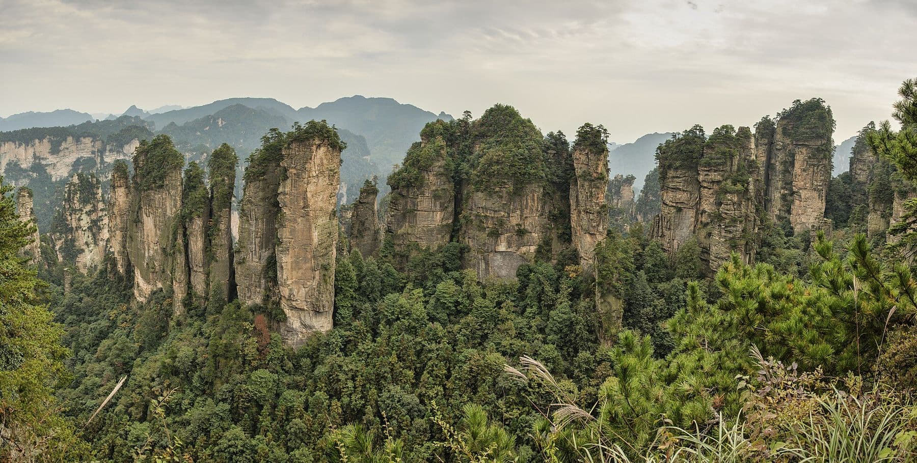 Sandstone pillars covered in forest at Zhangjiajie